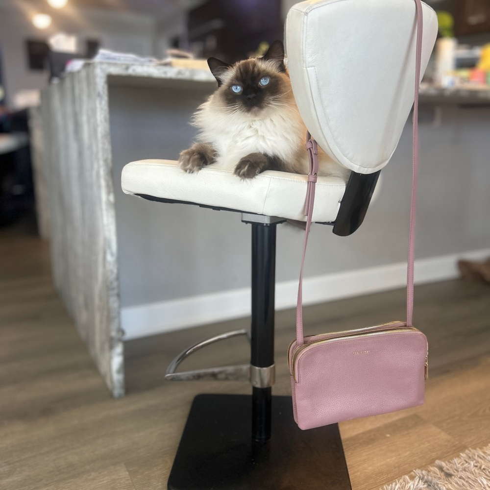 Ted Baker Ciarraa Blush Pink Pebbled Leather Crossbody —